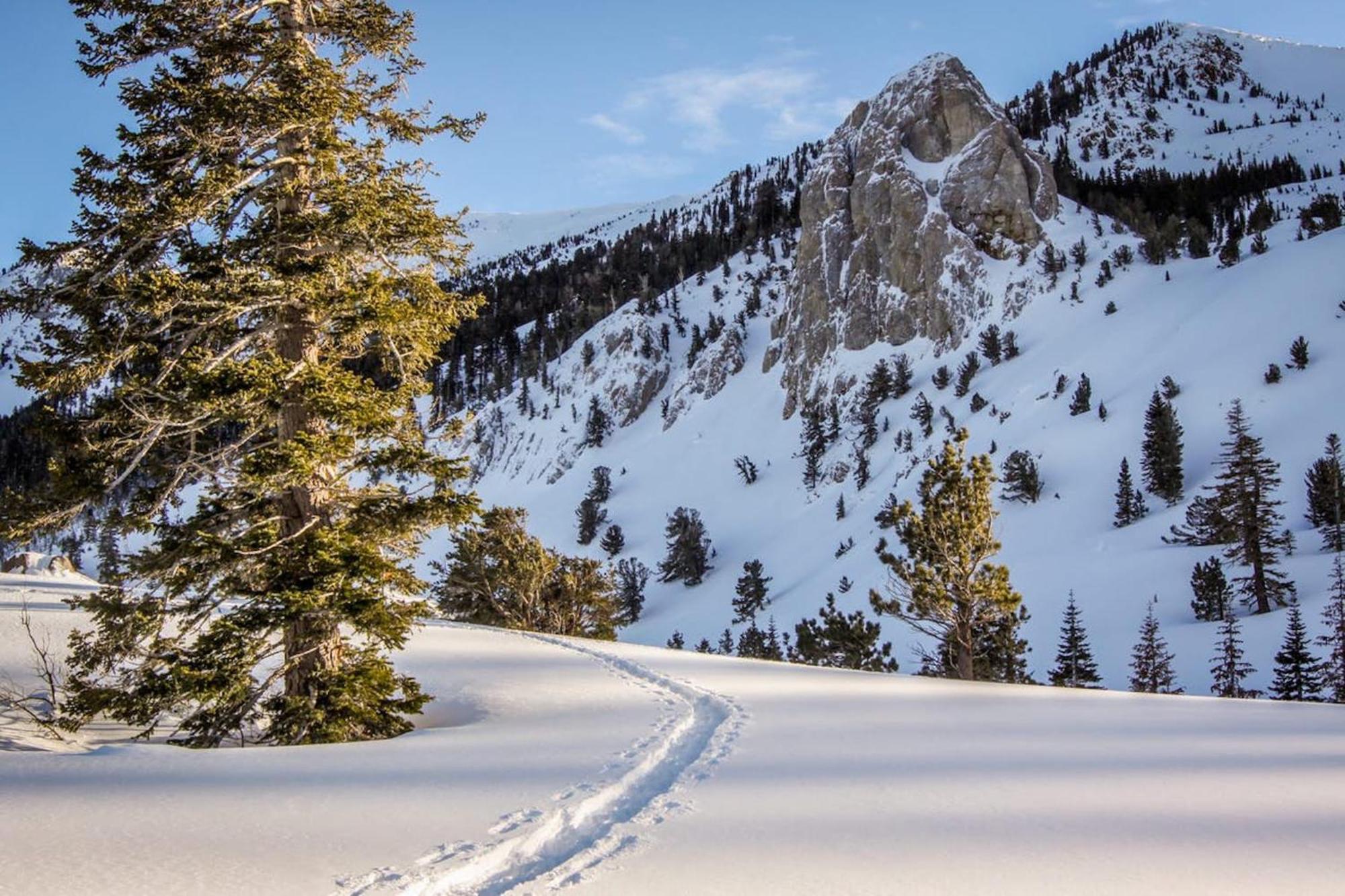 Crestview Vila Mammoth Lakes Quarto foto